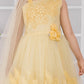 Lemon Imported Net Dress for Girls – Party Wear