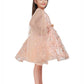 Fawn Coloured Imported Net Double Sided Sleeve Pattern Party Wear Frock For Girls - Betty Ethnic India - Frock - Betty Girls Wear Online